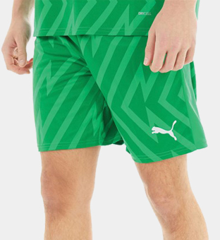 Puma Shorts Mens Green