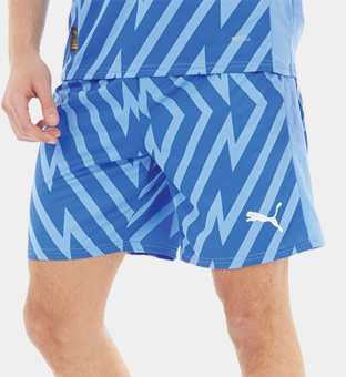 Puma Shorts Mens Blue